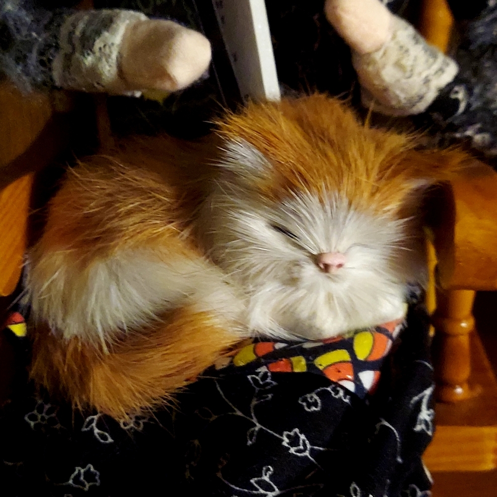 Byer's Choice Rocking Chair Witch - Picture 6 of 10
